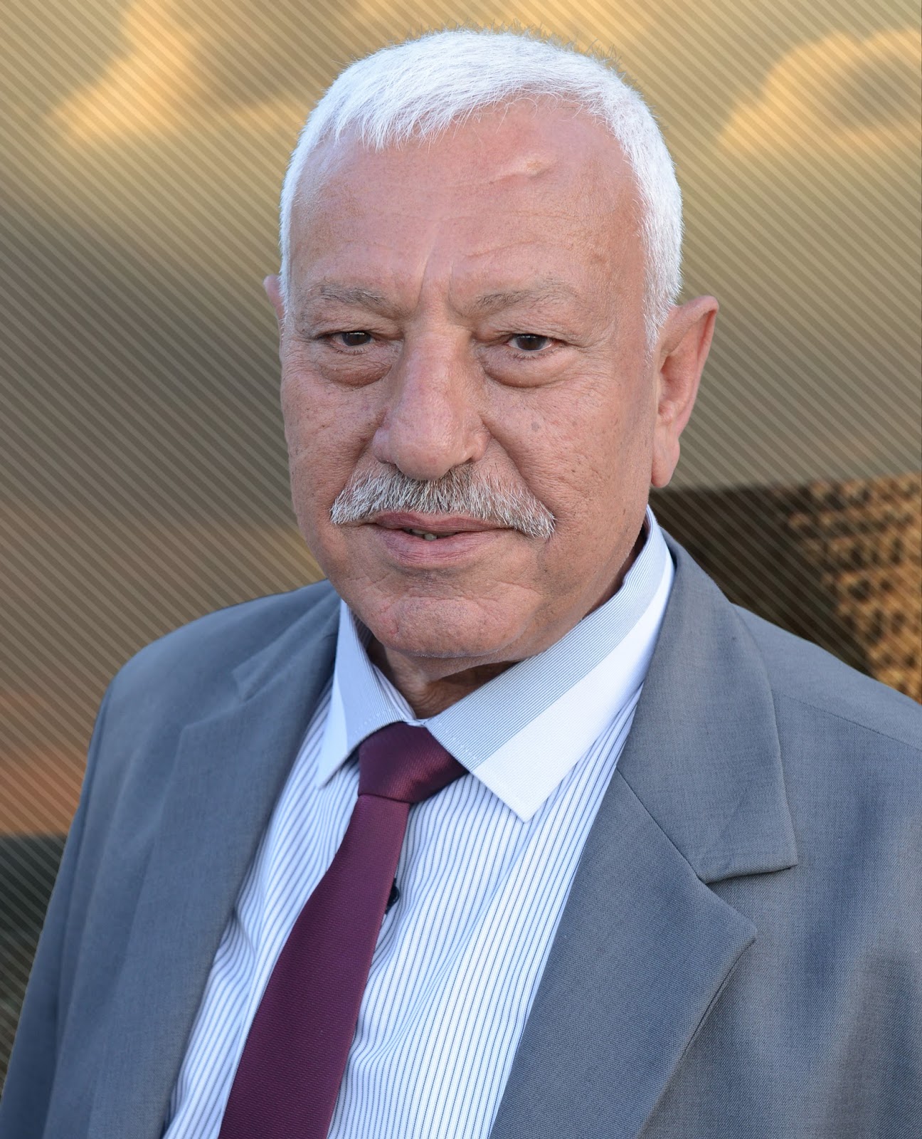 عن الكاتب – مدونة د. محمد هيبي